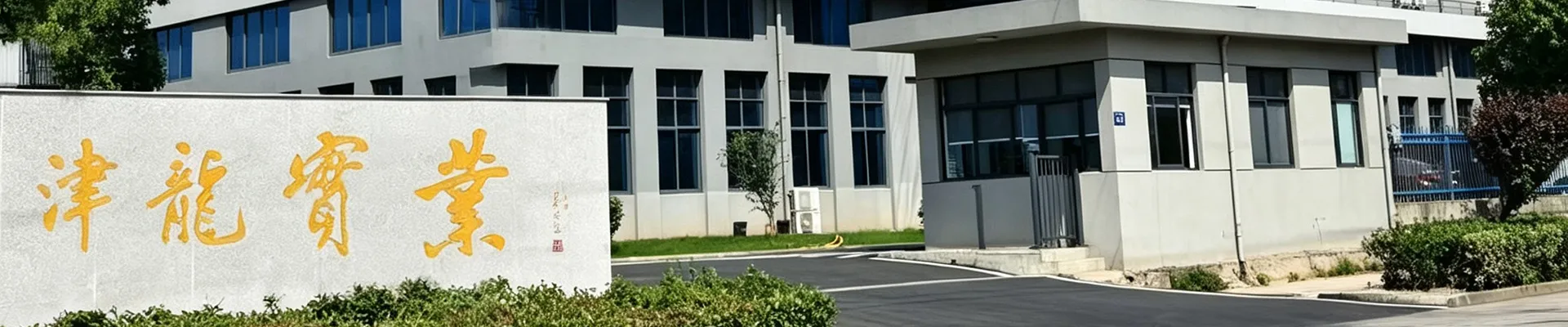 关于津龙
