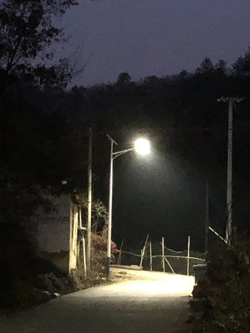 “回家”--- 一直在路上 'Going home' - always on the way